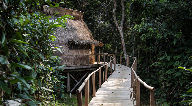 Tall Earth Goes to Africa