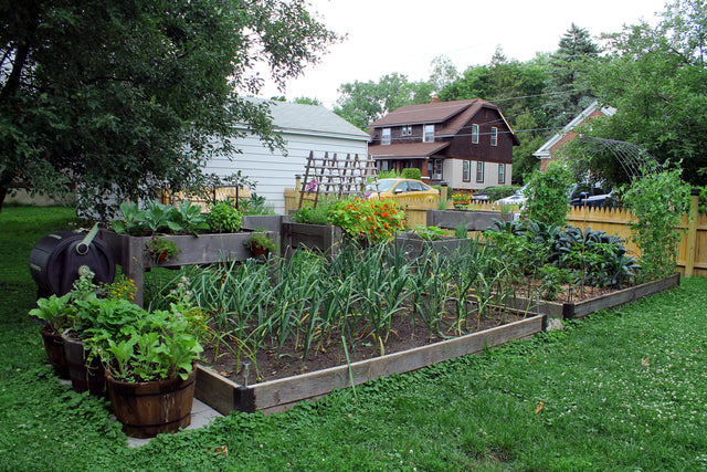 Planting Late? Here's Your Guide to Making the Most of Your Garden, Even Now!